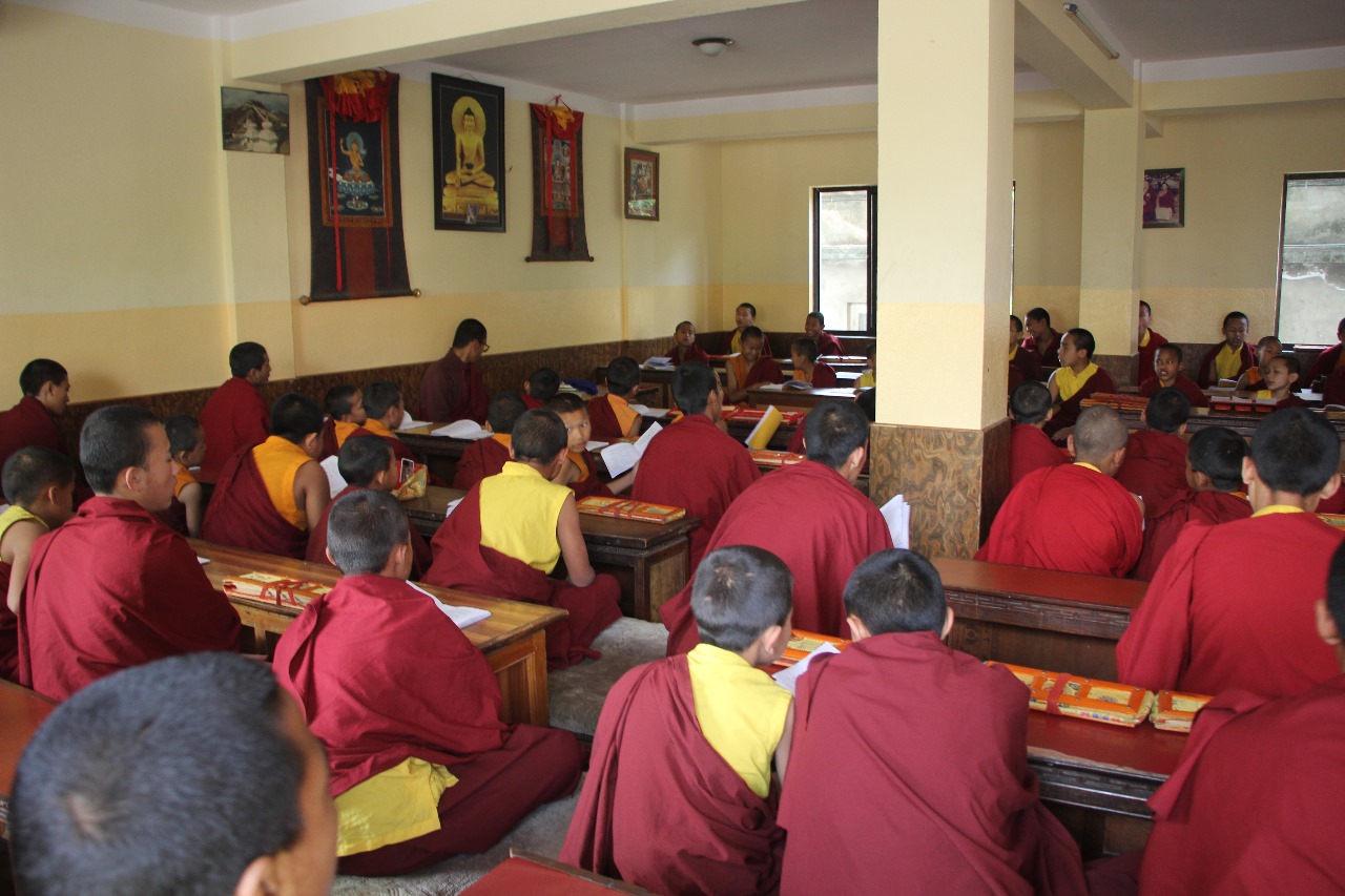 Teacher/Organiser Insight